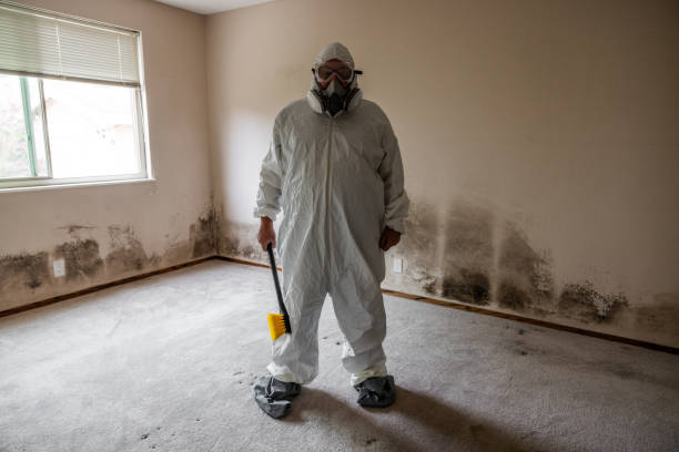 Professional Mold Remediation in Fife, WA